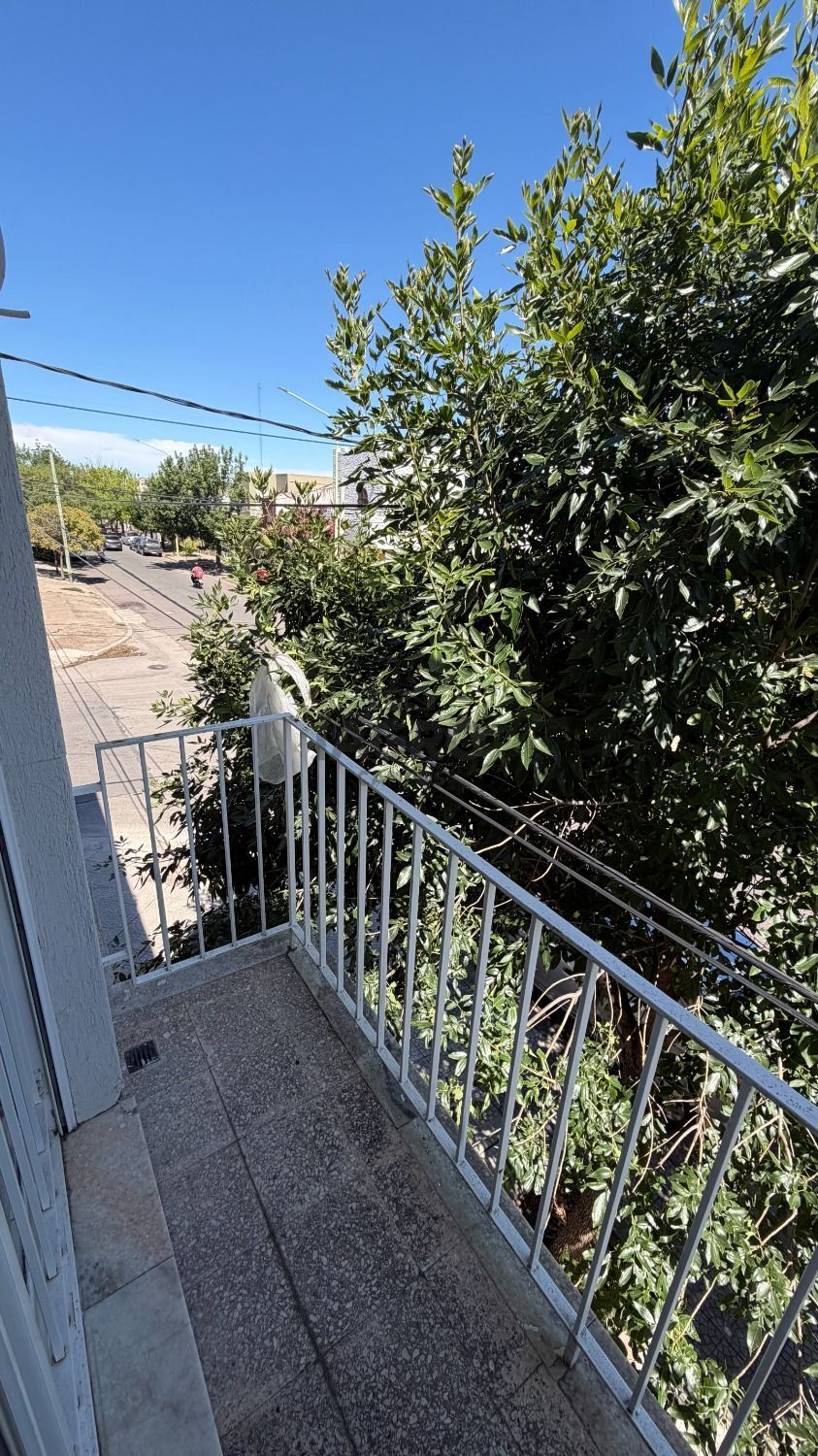 Galería de fotos #16