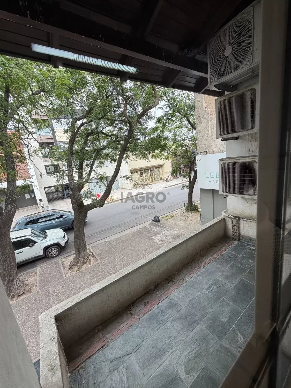 Galería de fotos #16