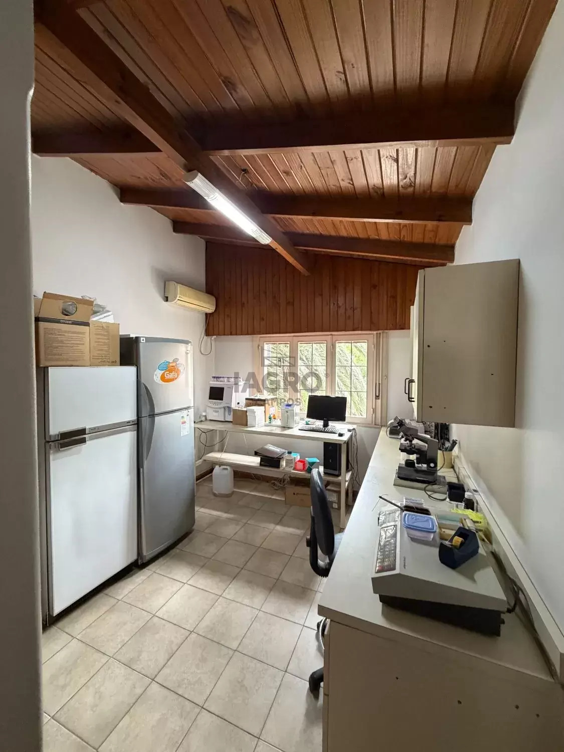 Galería de fotos #19