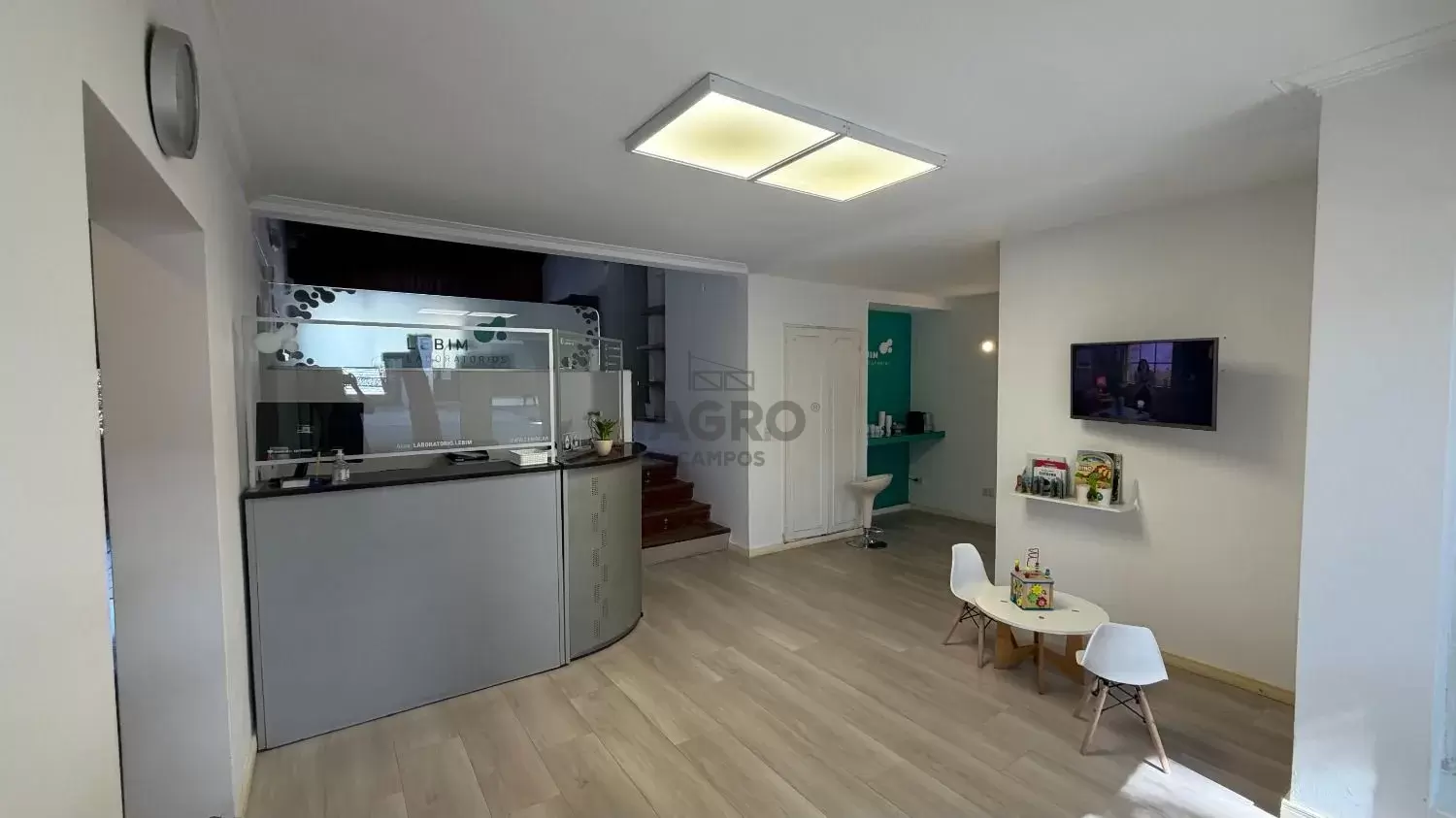 Galería de fotos #3