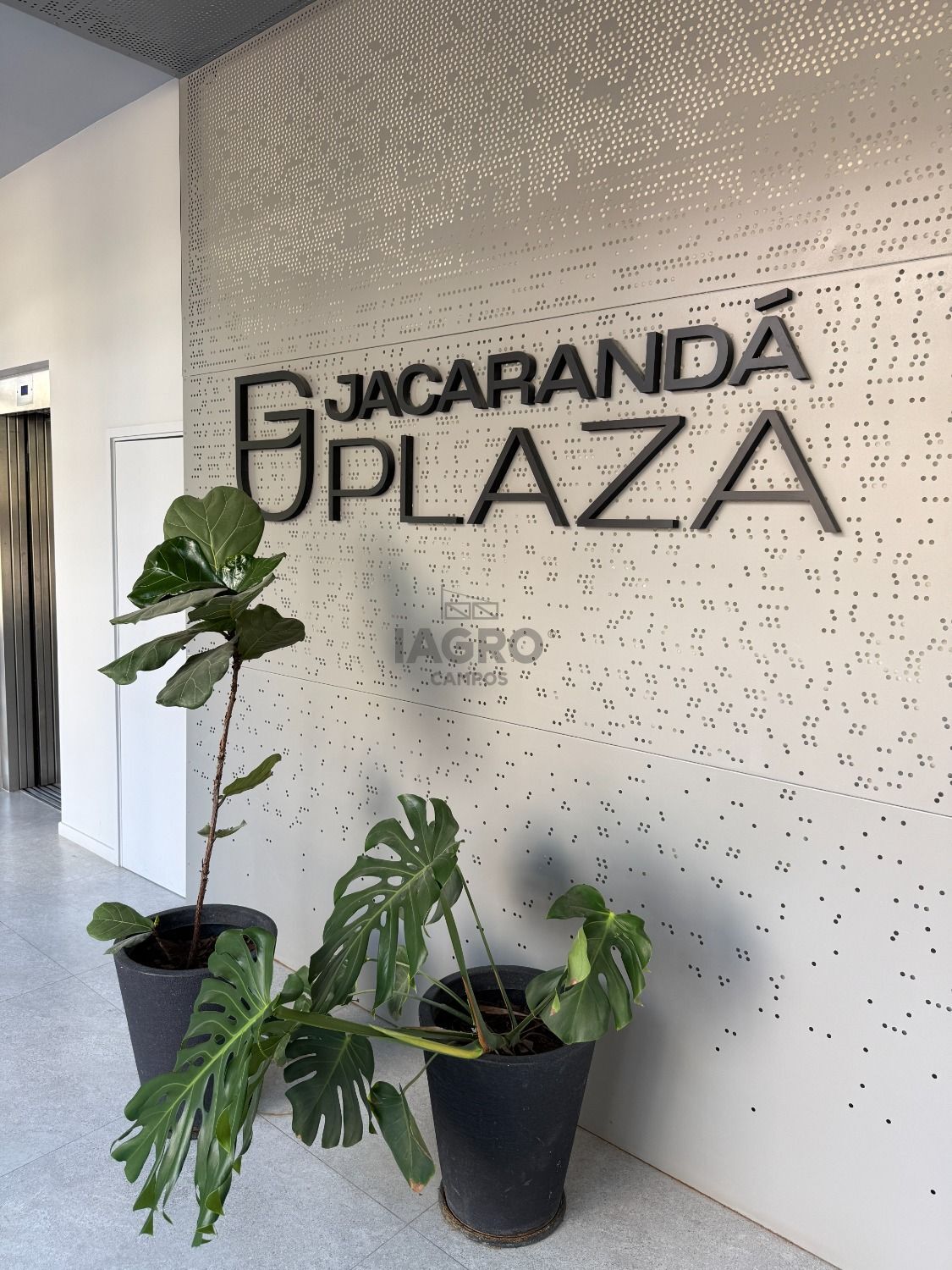 Galería de fotos #2