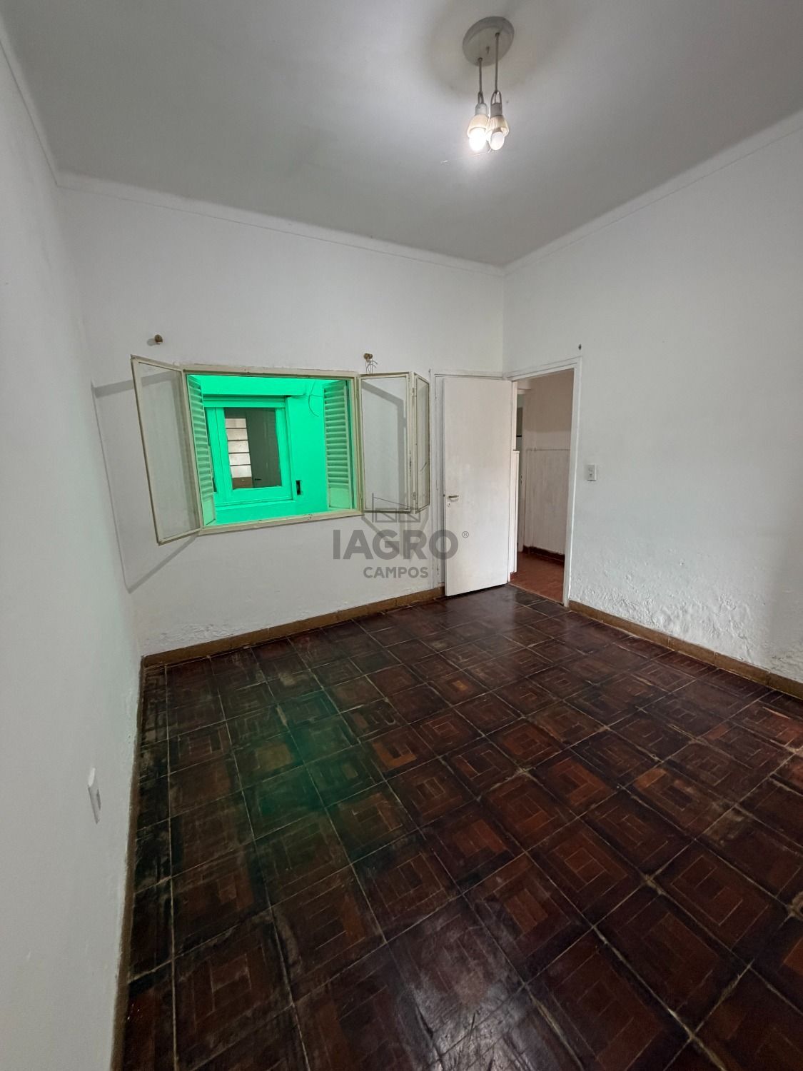 Galería de fotos #11