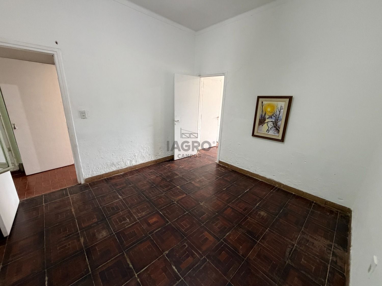 Galería de fotos #8