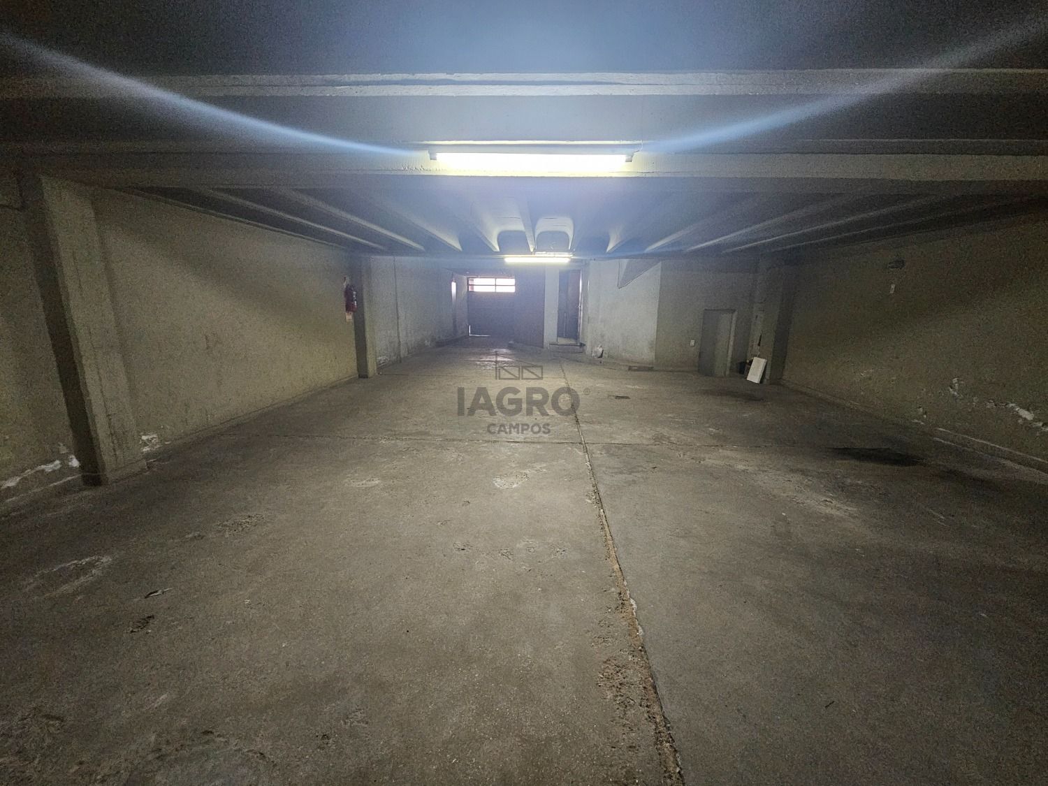 Galería de fotos #19