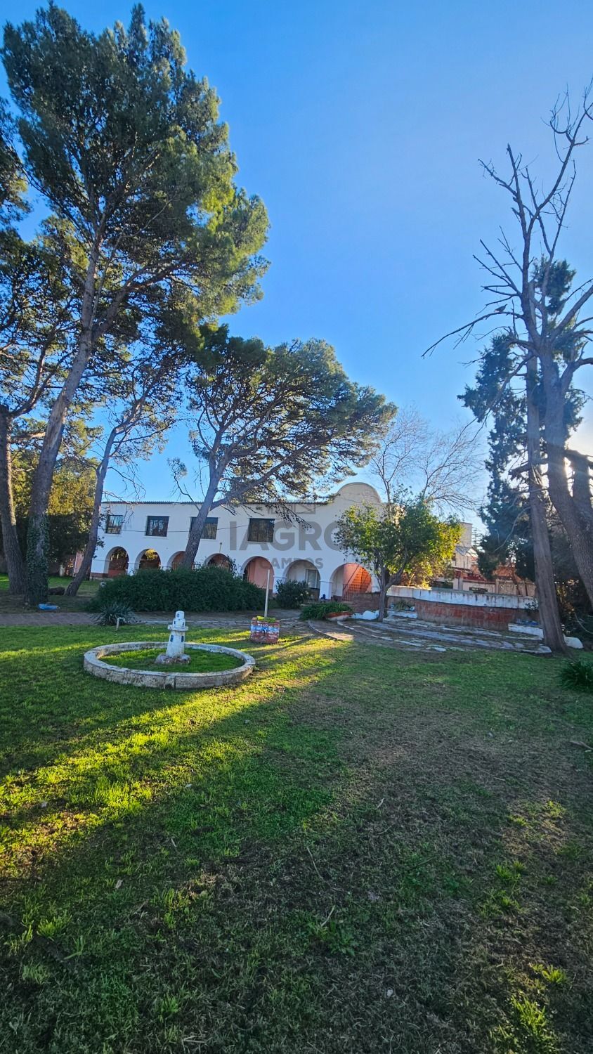 Galería de fotos #2