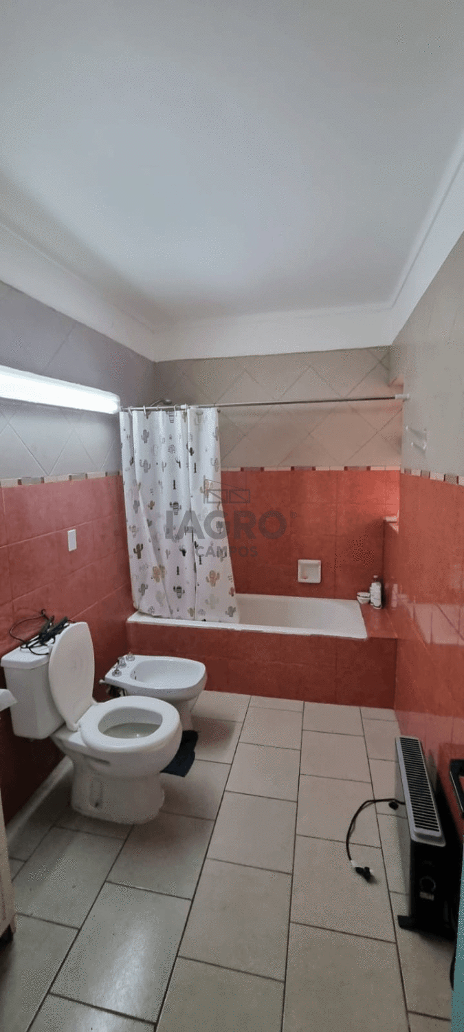 Galería de fotos #9
