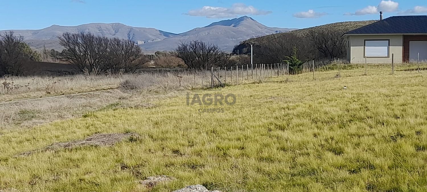 Galería de fotos #4