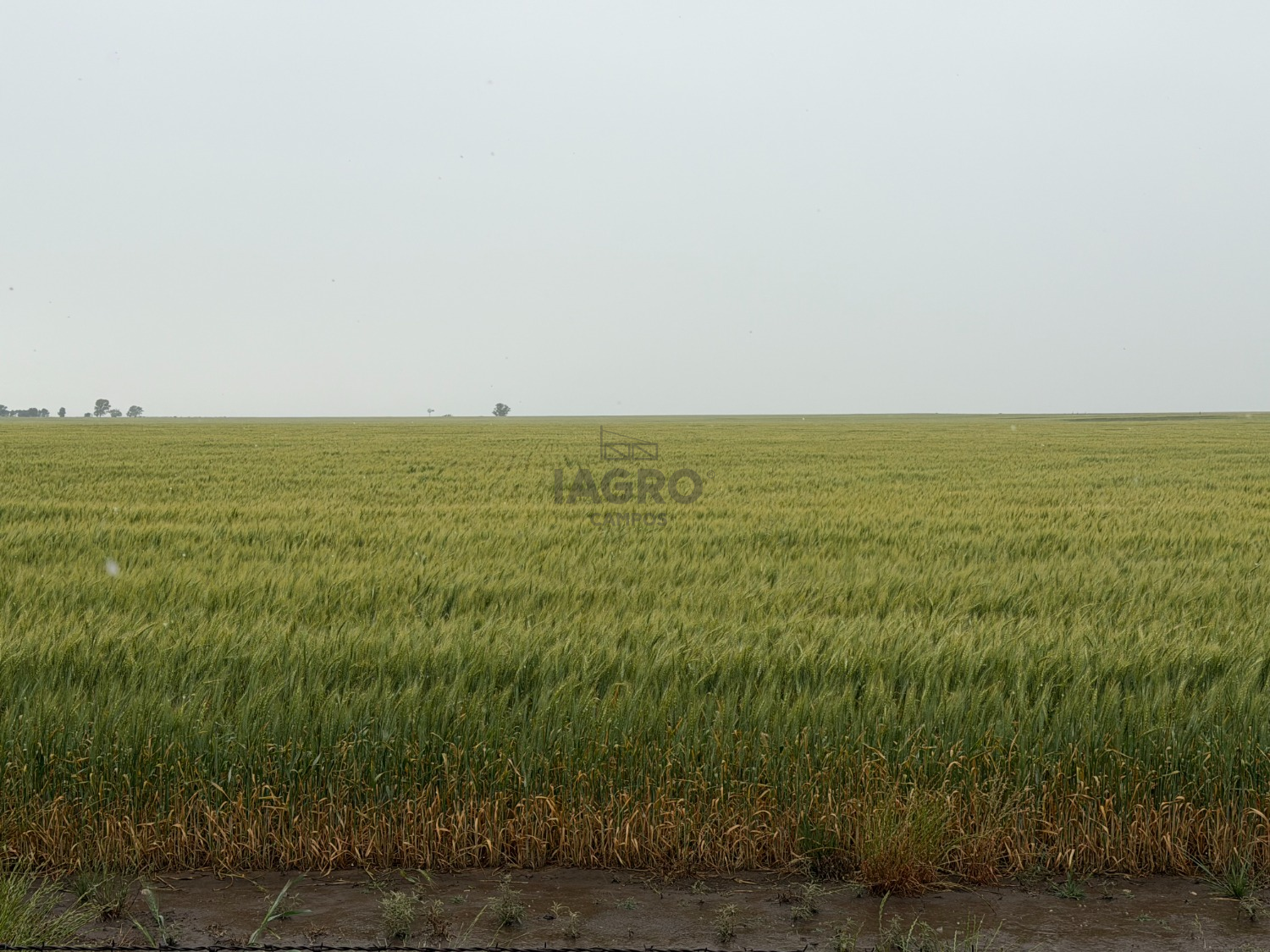 Galería de fotos #6