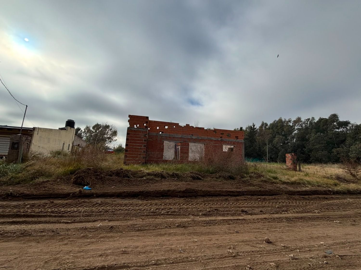 Galería de fotos #2