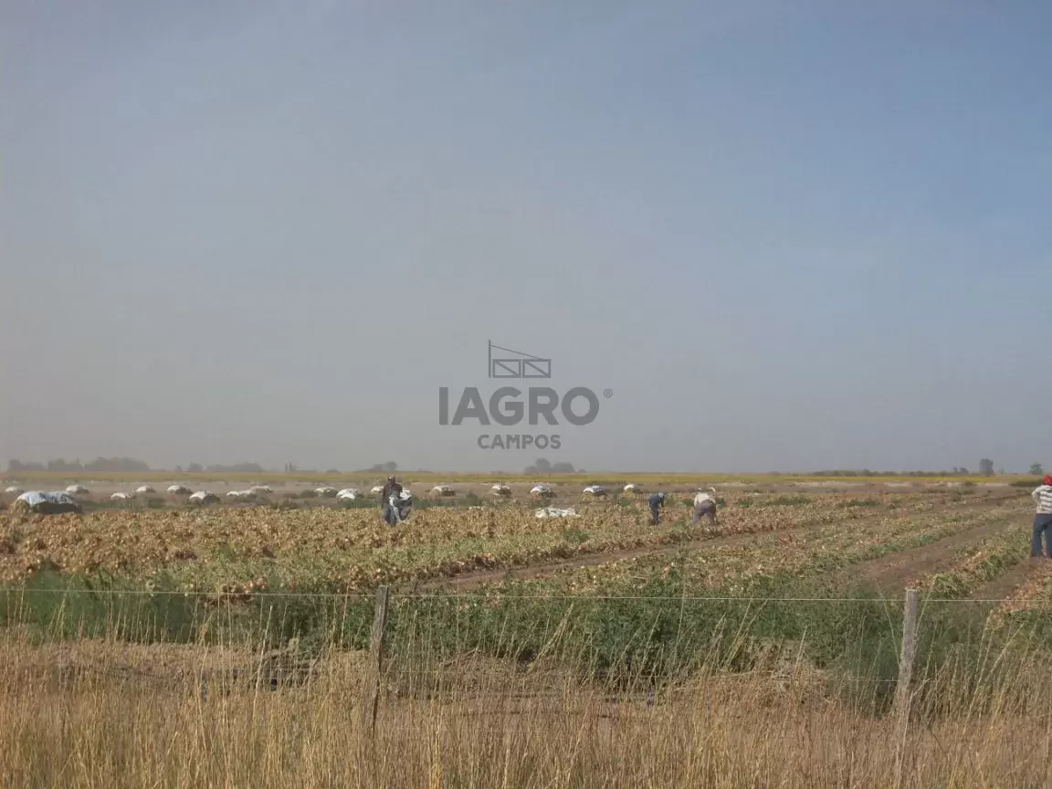 Galería de fotos #2