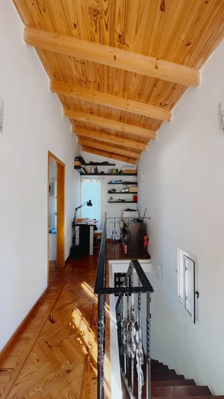 Galería de fotos #14